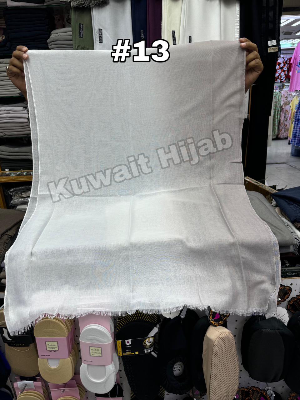 Light Weight shawl Ombre (#13)